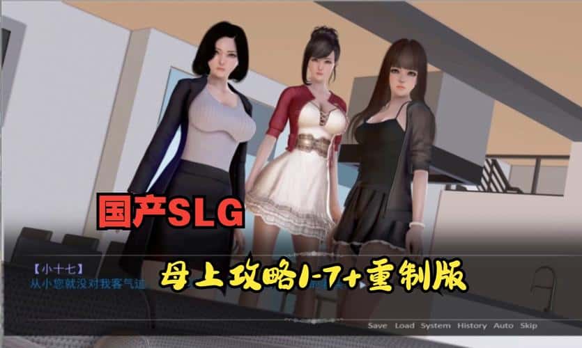 母上攻略封面